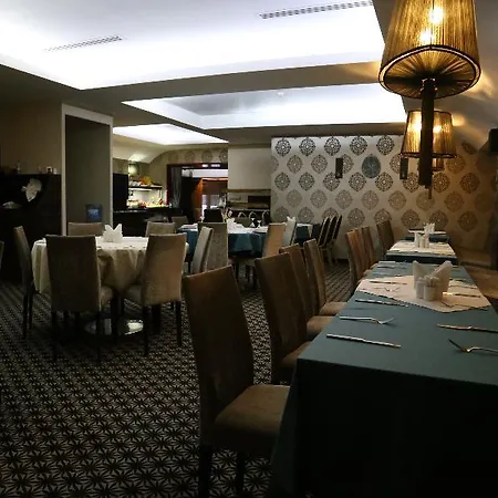 Lion Otel 3*