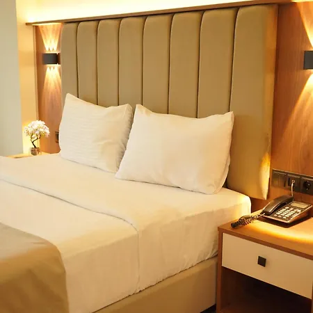 Hotel Lion