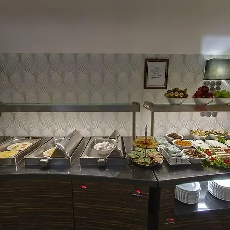 Lion 3*