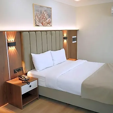 Hotel Lion 3*