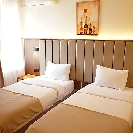 Hotel Lion