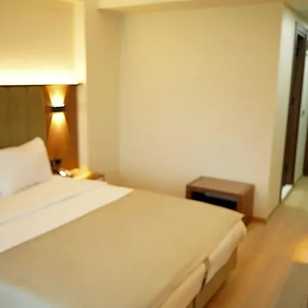 Lion Hotel