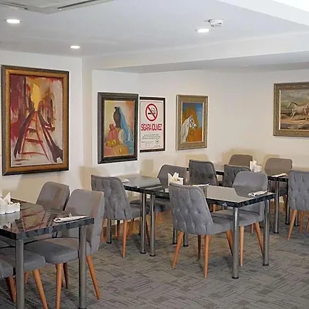 Hotel Lion