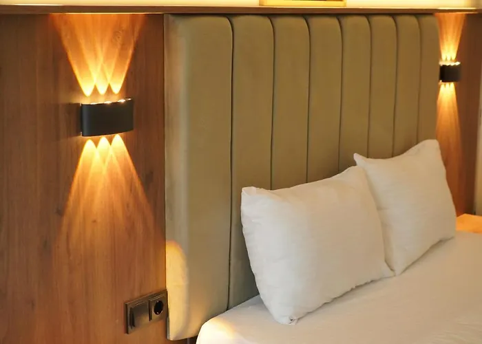 호텔 Lion 부루사