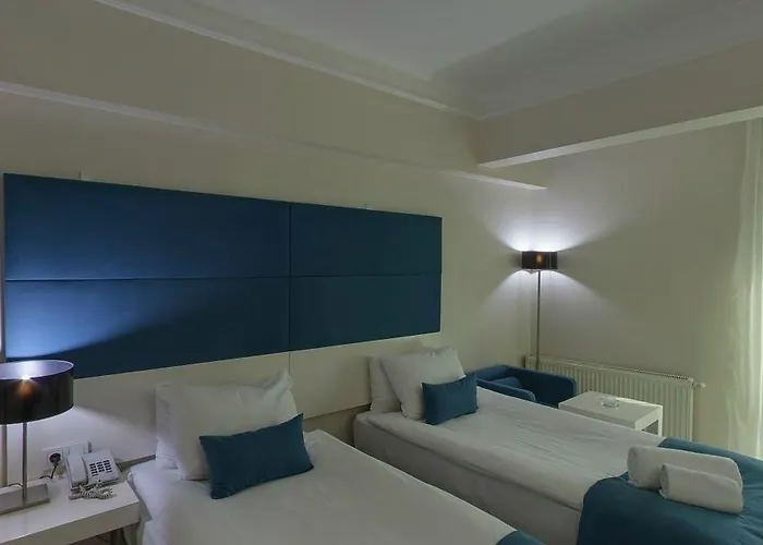 Lion 호텔 부루사