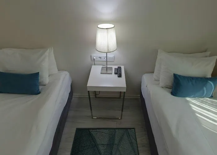 Lion 호텔 부루사